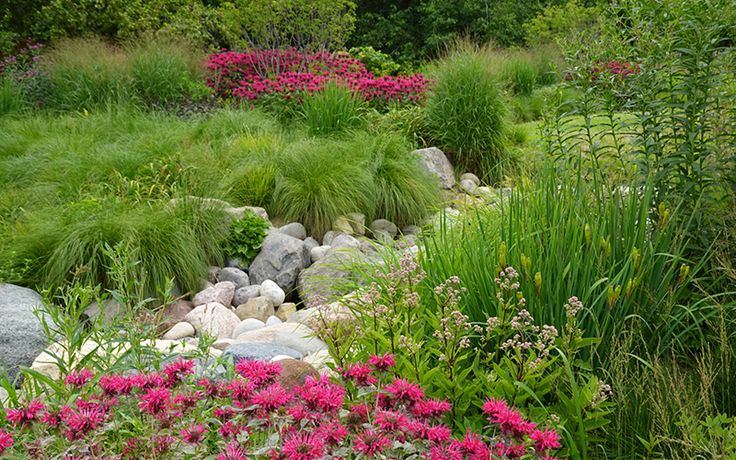 Lush Garden